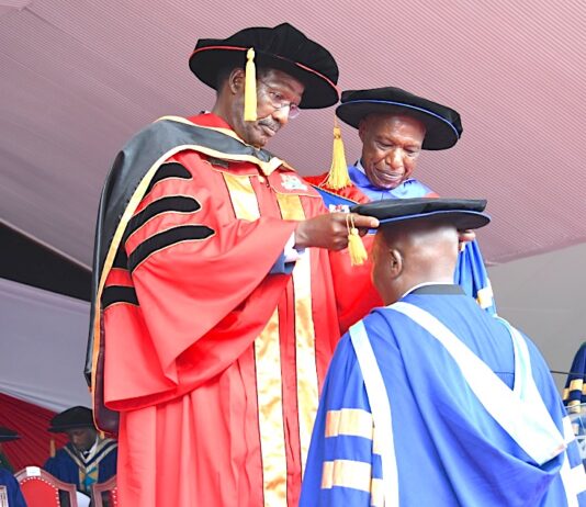 The Legitimacy of Non-PhDs as Academic Staff in Universities