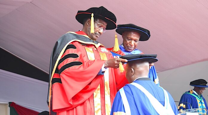 The Legitimacy of Non-PhDs as Academic Staff in Universities