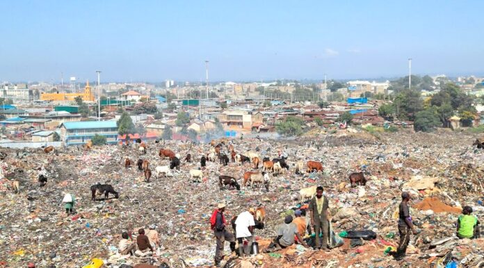 Unraveling the intricacies of Environmental Imperialism in the Global South