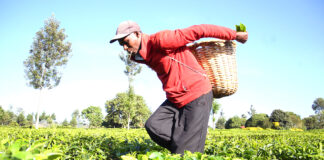 Extraction and exploitation: Why Small-scale farmers need social workers’ support to free them