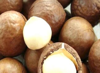 Government Slaps Macadamia Farmers With Ban, Issues This Directive