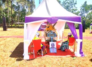 Mourning the Passing of the ‘Father’ of Educational Studies in Kenya, Prof. Daniel Namusonge Sifuna