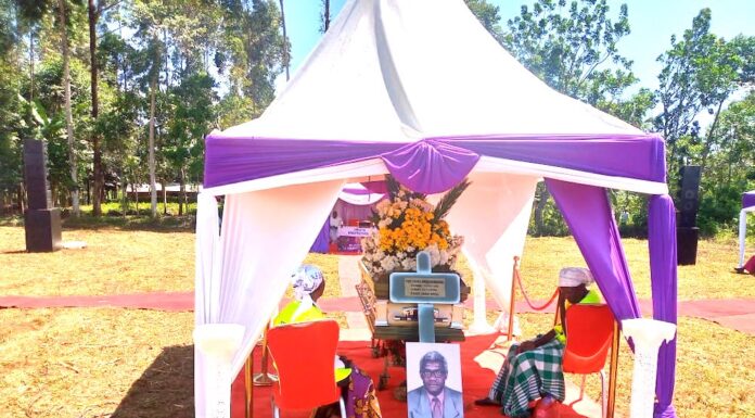 Mourning the Passing of the ‘Father’ of Educational Studies in Kenya, Prof. Daniel Namusonge Sifuna