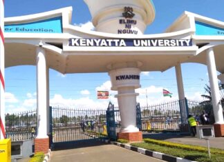 Decoding University Rankings: How Metrics Shape Global Education