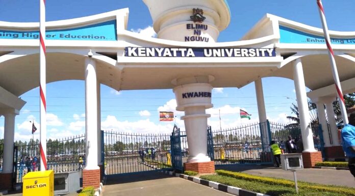 Decoding University Rankings: How Metrics Shape Global Education