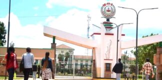 Action, not Promissory Notes: Salvage the Higher Education System in Kenya Now!