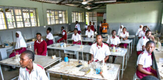 Why Academia Must Adapt or Perish