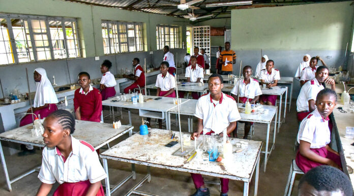 Why Academia Must Adapt or Perish