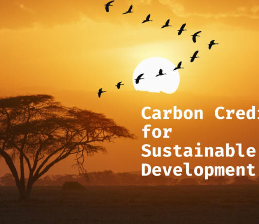 Beyond Carbon Credits: Harnessing Kenya’s Biodiversity for Sustainable Climate Finance