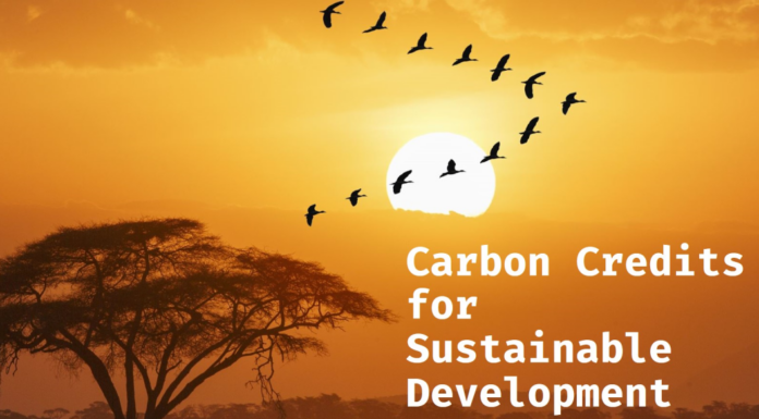 Beyond Carbon Credits: Harnessing Kenya’s Biodiversity for Sustainable Climate Finance