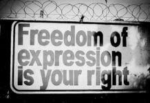 Freedom of Expression in Kenya: Constitutional Promises, Judicial Realities, and Comparative Insights