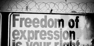 Freedom of Expression in Kenya: Constitutional Promises, Judicial Realities, and Comparative Insights