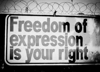 Freedom of Expression in Kenya: Constitutional Promises, Judicial Realities, and Comparative Insights