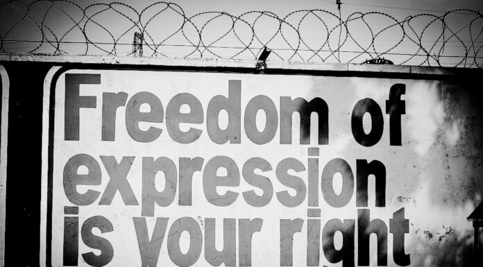 Freedom of Expression in Kenya: Constitutional Promises, Judicial Realities, and Comparative Insights