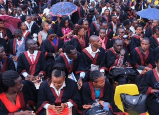 Oversupply of Nurses Puts Kenya’s Health Sector at a Crossroads