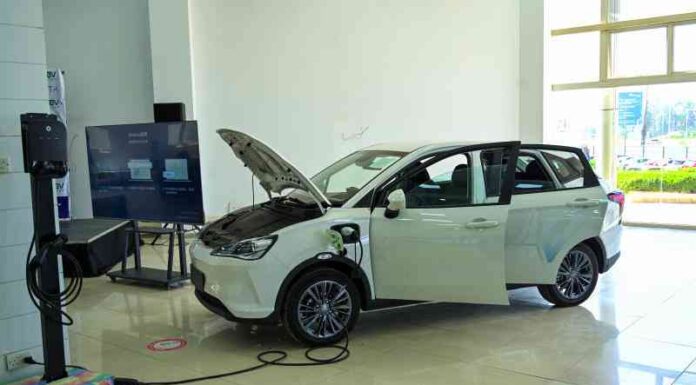 Green But Grim: The Hidden Ecological and Human Toll of Cobalt in Electric Vehicles