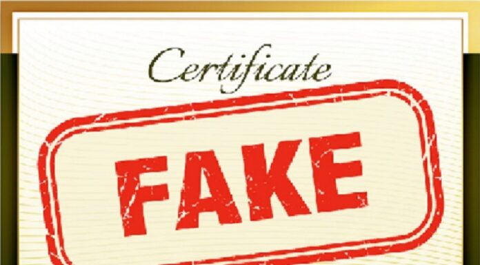 Forgery in Education: Kenya’s Growing Scourge of Fake Academic Certificates