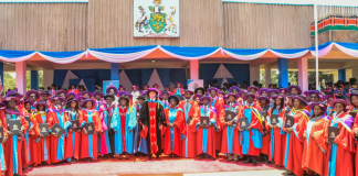 A PhD Is Not a Lecturing Certificate: Unlocking Kenya’s Untapped Intellectual Capital