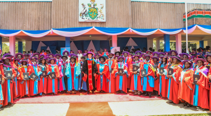 A PhD Is Not a Lecturing Certificate: Unlocking Kenya’s Untapped Intellectual Capital