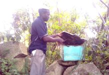 Sweet Returns from the Hive: How Apiculture is Transforming Livelihoods in Vihiga