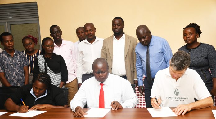 Seeds of Restoration: Cultivating a Living Future Through Syntropic Agroforestry in Kenya