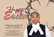 Annah Omwega’s Council Member Bid Gains Momentum in LSK Nairobi Race