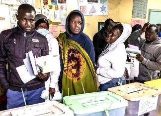 A Nation of Spectators: Political Apathy and the Future of Kenyan Democracy