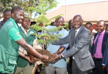 From Knowledge to Climate Action: How Kaimosi Friends University is Shaping a Greener Future for Kenya