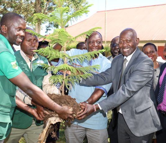 From Knowledge to Climate Action: How Kaimosi Friends University is Shaping a Greener Future for Kenya
