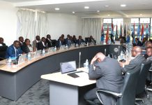 Professorial Truancy Undermining Academic Leadership in University Senates