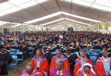 Academic Goonism: The Abuse of Power by HoDs and Deans in Higher Education