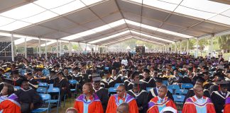 Academic Goonism: The Abuse of Power by HoDs and Deans in Higher Education
