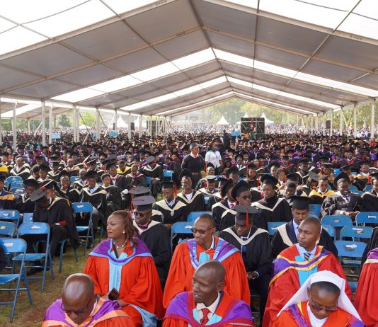 Academic Goonism: The Abuse of Power by HoDs and Deans in Higher Education